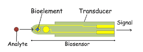 1_Biosensor