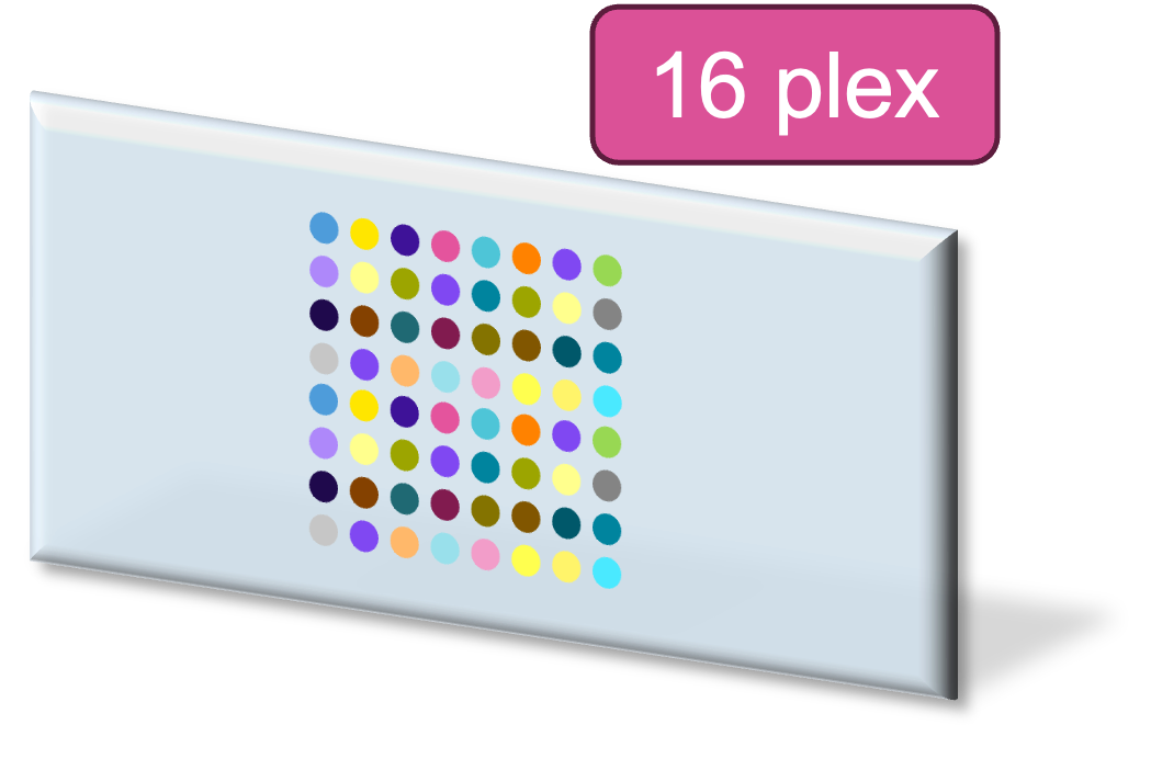 16_plex