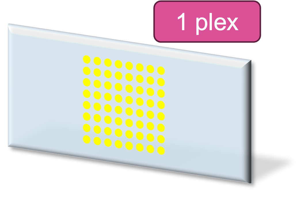 1_plex-1