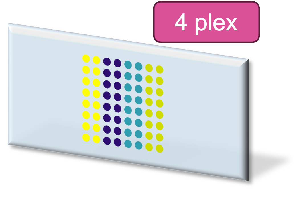 4_plex