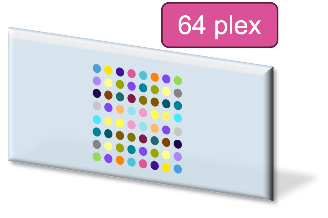 64_Plex