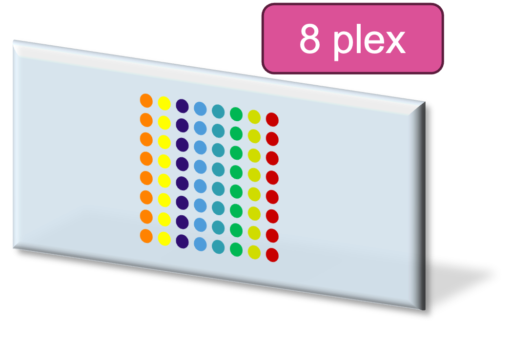 8_plex