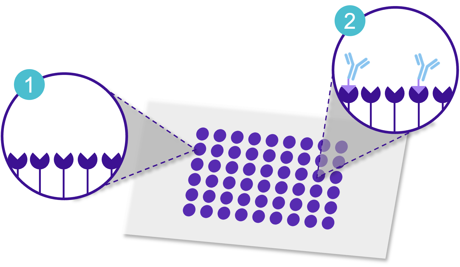 Click_chemistry_chips